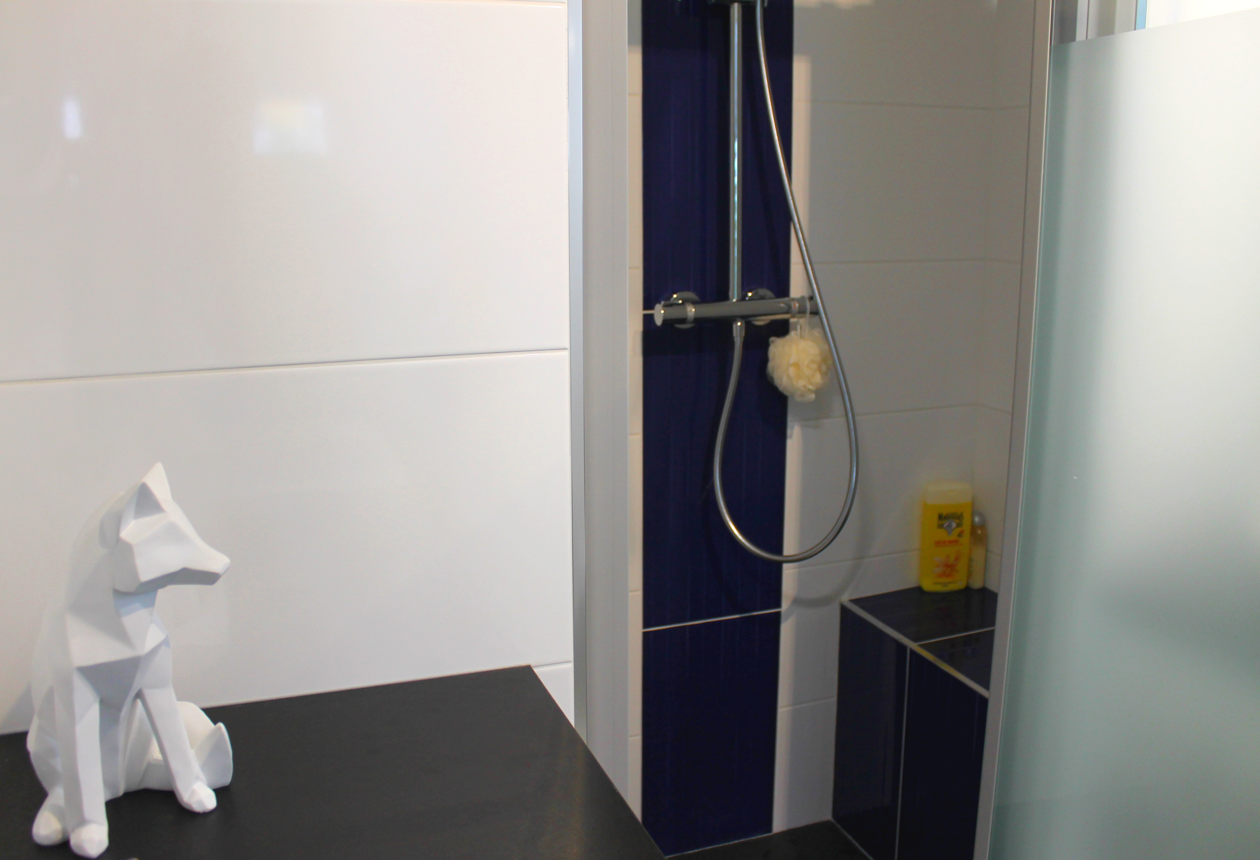 VUE%20RENARD%20ET%20BANC%20DOUCHE%20IMG_2214