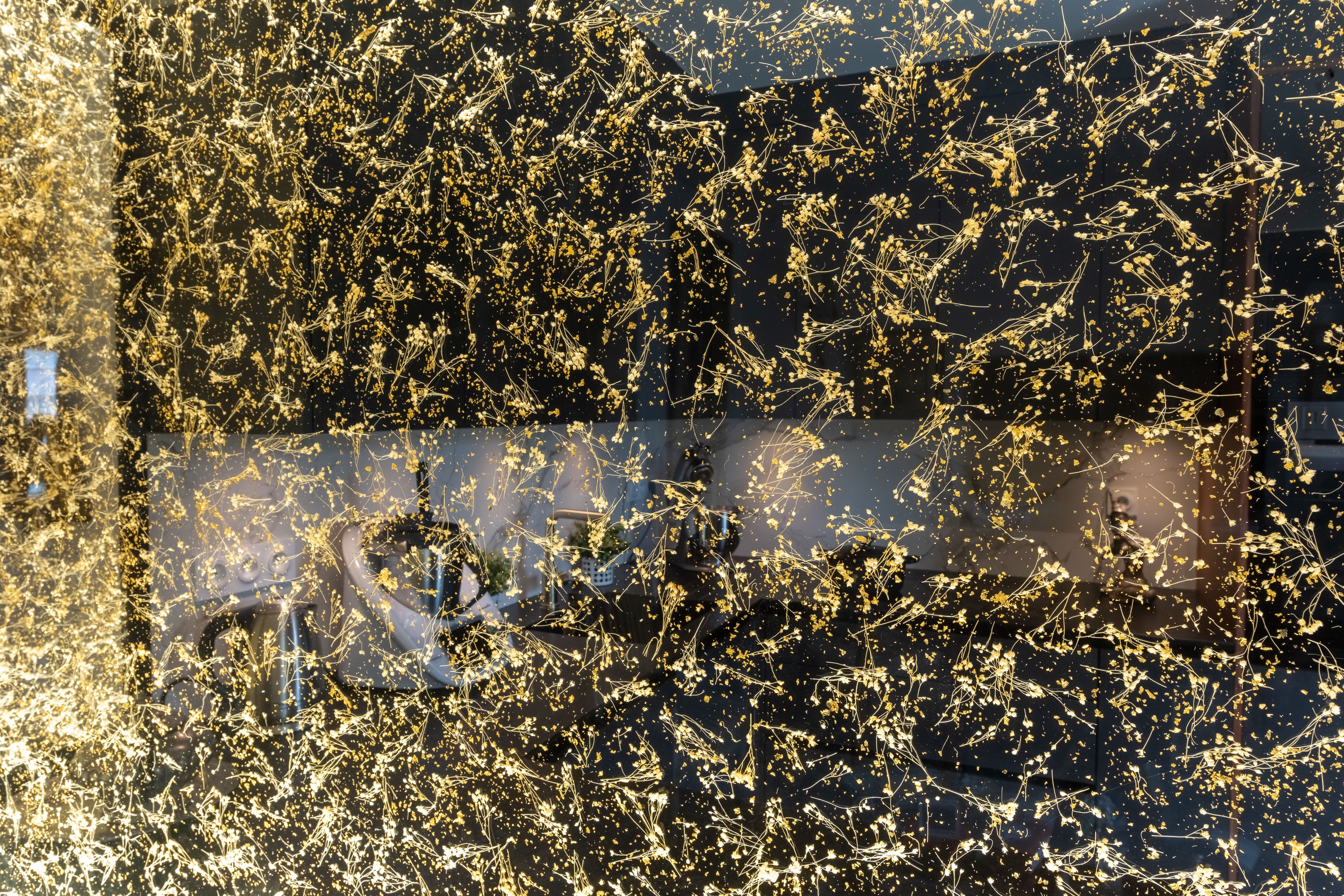 d%C3%A9tail%20Dacryl