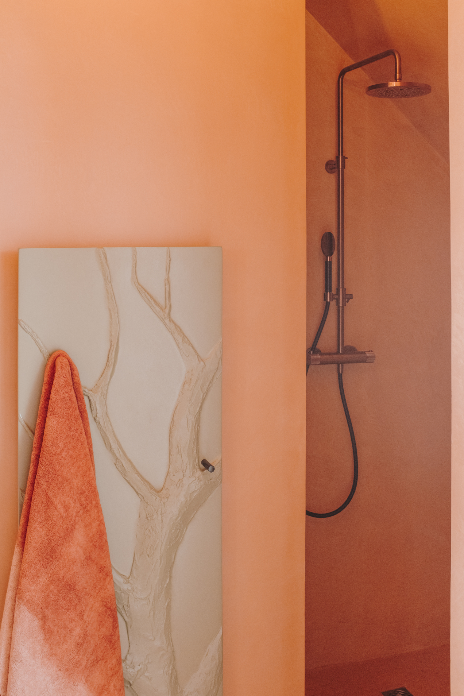 Douche-Perene-agencement-sur-mesure Douche-Perene-agencement-sur-mesure