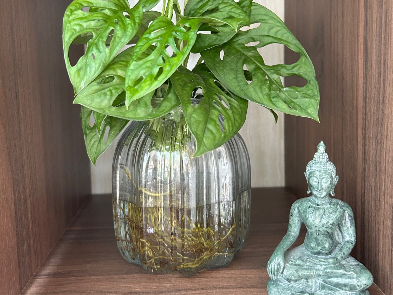 perene-chatenay-malabry-niche-vegatale