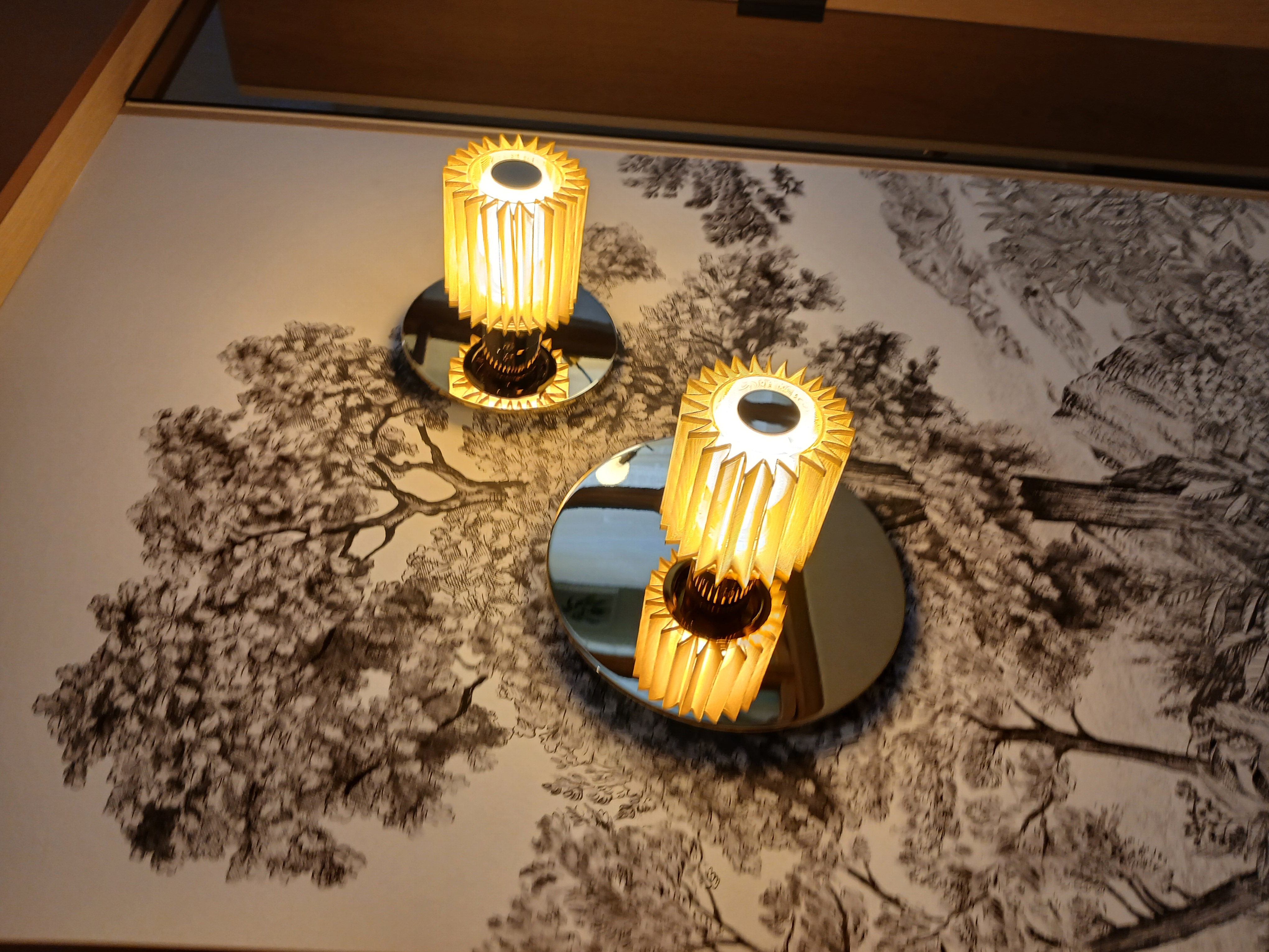 Détail lumaire et papier peint PERENE RENNES