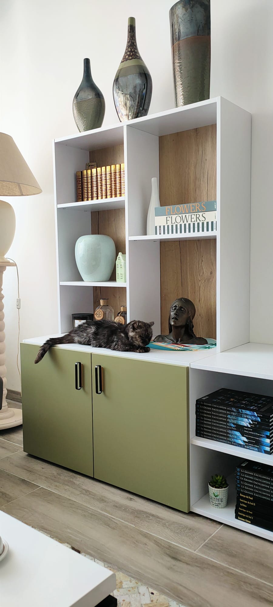 d3cac363-7899-405e-9812-964f8657fe3d