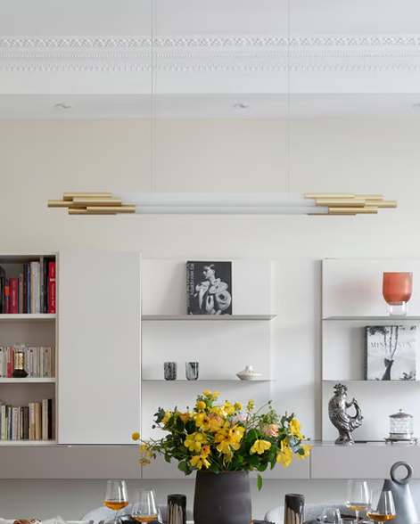 Suspension Org Pendant Horizontal